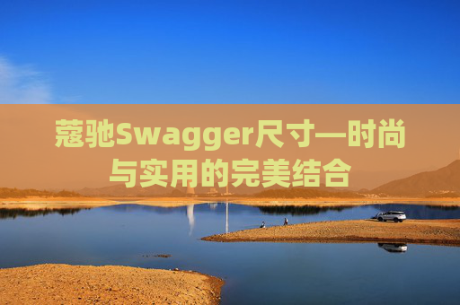 蔻驰Swagger尺寸—时尚与实用的完美结合