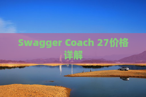 Swagger Coach 27价格详解