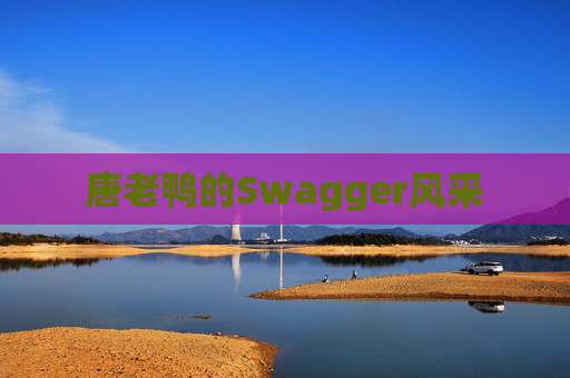 唐老鸭的Swagger风采 唐老鸭的Swagger风采